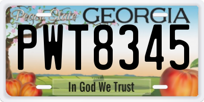 GA license plate PWT8345