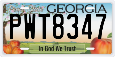 GA license plate PWT8347