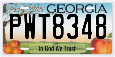 GA license plate PWT8348