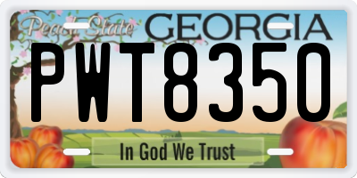 GA license plate PWT8350