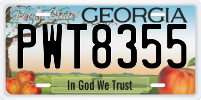 GA license plate PWT8355