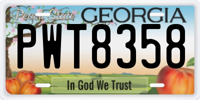 GA license plate PWT8358