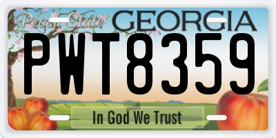 GA license plate PWT8359