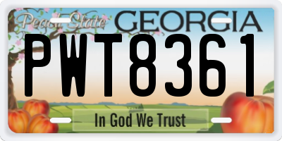 GA license plate PWT8361