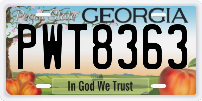GA license plate PWT8363
