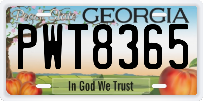 GA license plate PWT8365