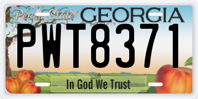 GA license plate PWT8371