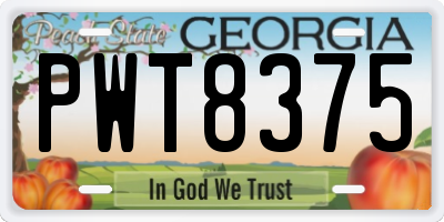 GA license plate PWT8375