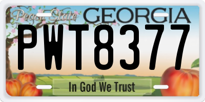 GA license plate PWT8377