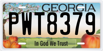 GA license plate PWT8379