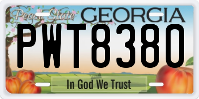 GA license plate PWT8380