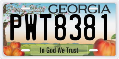 GA license plate PWT8381