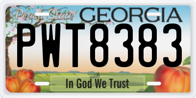 GA license plate PWT8383