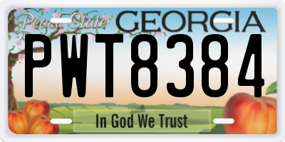 GA license plate PWT8384