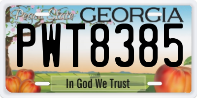GA license plate PWT8385