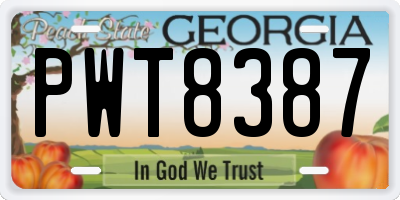 GA license plate PWT8387