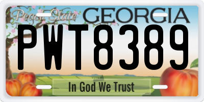 GA license plate PWT8389