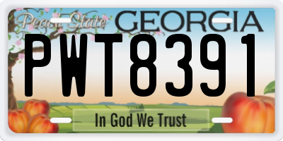 GA license plate PWT8391