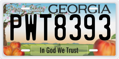 GA license plate PWT8393