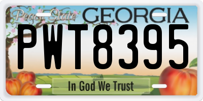 GA license plate PWT8395