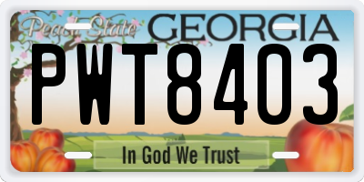 GA license plate PWT8403
