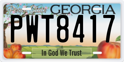 GA license plate PWT8417
