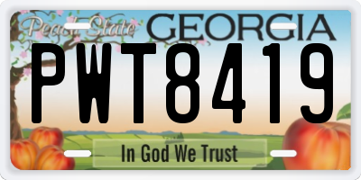 GA license plate PWT8419