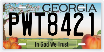 GA license plate PWT8421
