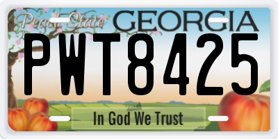 GA license plate PWT8425
