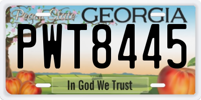 GA license plate PWT8445
