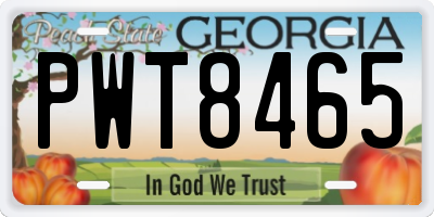 GA license plate PWT8465