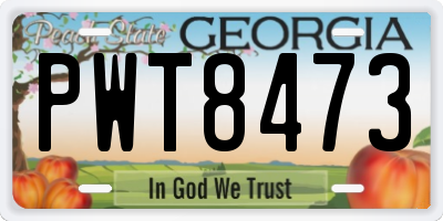 GA license plate PWT8473