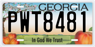 GA license plate PWT8481