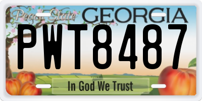 GA license plate PWT8487