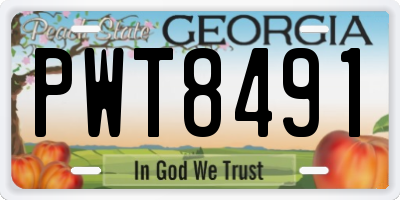 GA license plate PWT8491