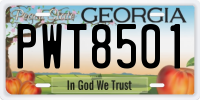 GA license plate PWT8501