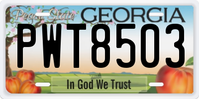 GA license plate PWT8503