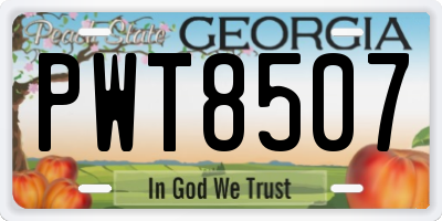 GA license plate PWT8507