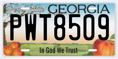 GA license plate PWT8509