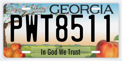 GA license plate PWT8511