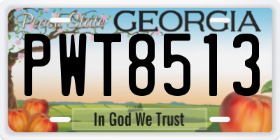GA license plate PWT8513