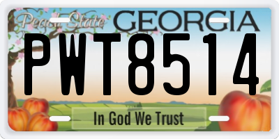 GA license plate PWT8514