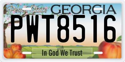 GA license plate PWT8516