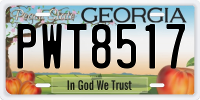 GA license plate PWT8517
