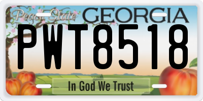 GA license plate PWT8518