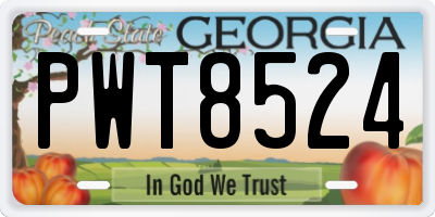 GA license plate PWT8524