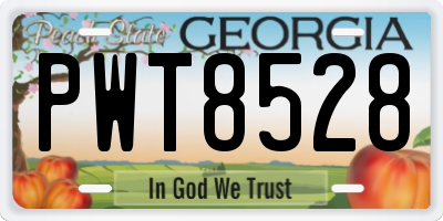 GA license plate PWT8528