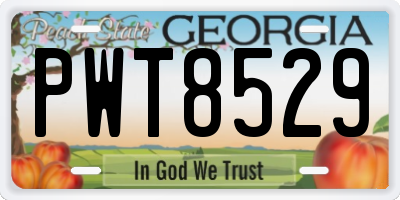 GA license plate PWT8529