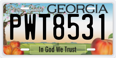 GA license plate PWT8531