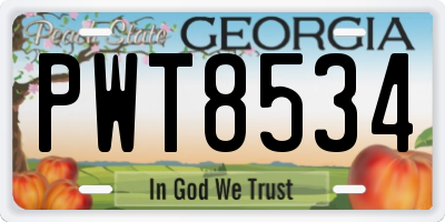 GA license plate PWT8534